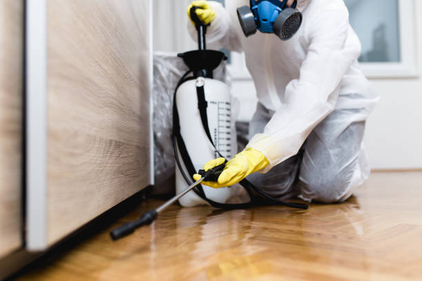 Best Residential Pest Control  in Lowell, IN