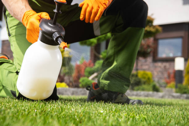 Trusted Lowell, IN Pest Control Experts