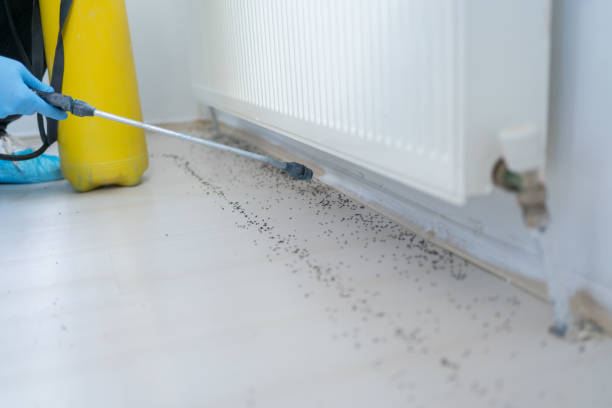 Best Rat Extermination Near Me  in Lowell, IN